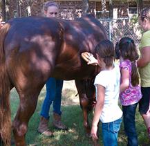 A group of people standing around a horse.
