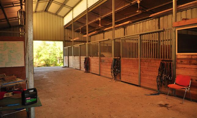 A barn with several stalls and two horses.