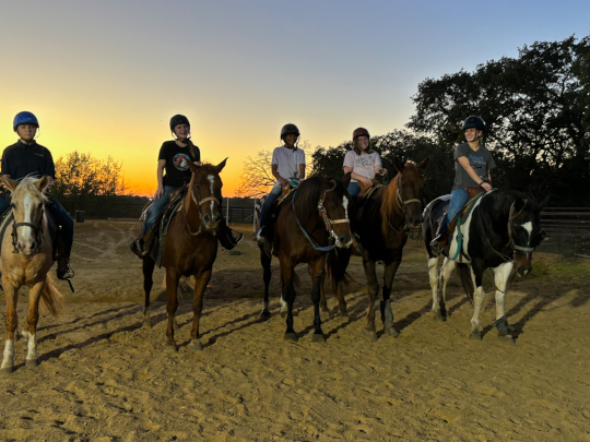 A group of people riding horses on the sand.