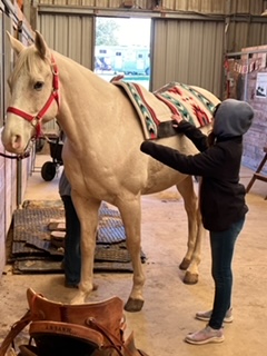 Horseback Riding Camp Denton Texas 75065