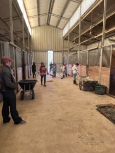 horse camp barn chores